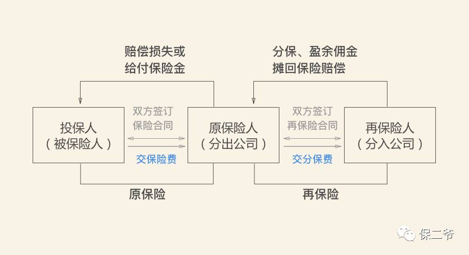 尊享e生背后，站着个神秘大佬！