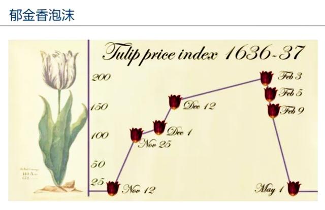 比特币是不是郁金香泡沫？