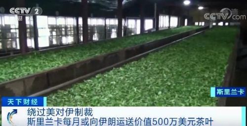 斯里兰卡用茶叶还伊朗石油债务-4