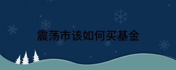 震荡市该如何买基金（资产配置专家的深度解读来了）-1