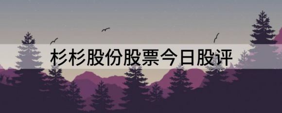 杉杉股份股票今日股评（给予杉杉股份买入评级）-1