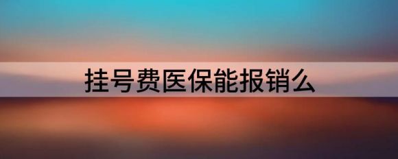 挂号费医保能报销么（医保报销的费用如何计算）-1