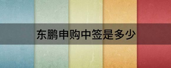 东鹏申购中签是多少（东鹏控股最终中签率0.0532%）-1