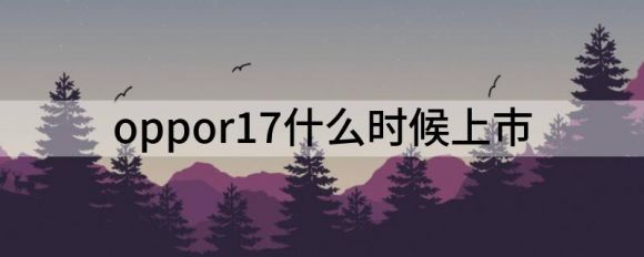 oppor17什么时候上市（R17 Pro新年版本月21日发售2799元起）-1