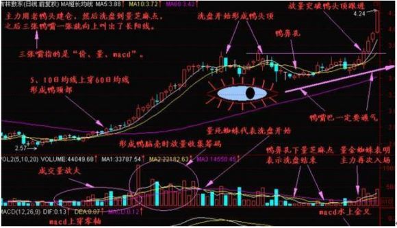 老鸭头股票一般能涨多少（老鸭头形态必定一波大涨）-4