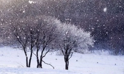 2022北方立冬下雪好不好-2